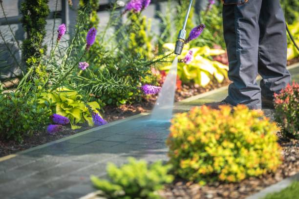 Best Winterizing Services  in Arvin, CA