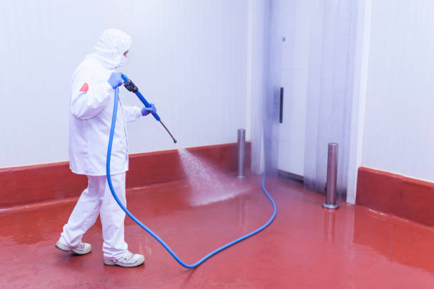 Boat and Dock Cleaning in Arvin, CA